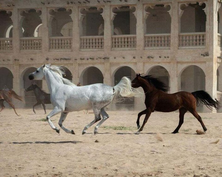 A horse race in progress with a historical building in the background. 4