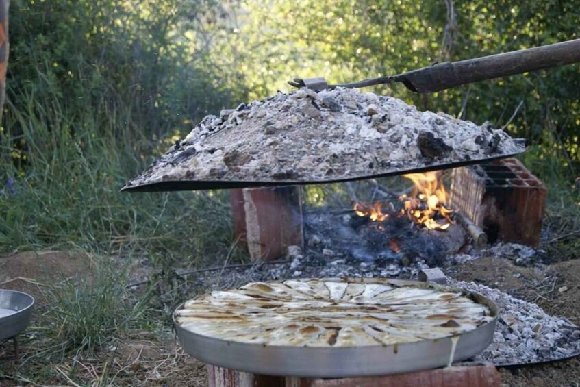 A campfire with a grill over it, surrounded by greenery. 2
