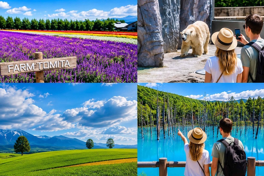 A field of purple flowers, a polar bear, a mountain landscape, and a lake with trees. 1