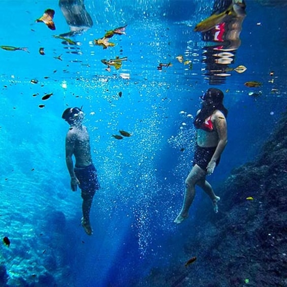 Two people swimming underwater in a clear blue pool with fish. 2