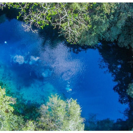 A clear blue lake surrounded by dense greenery. 3