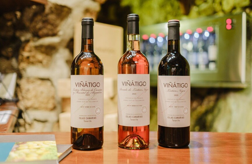 Picture 1 for Activity Tenerife: Bodega Viñátigo – Commented Tasting of 3 Wines 2