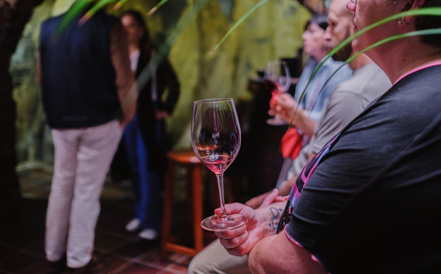 Tenerife: Bodega Viñátigo – Commented Tasting of 3 Wines 1