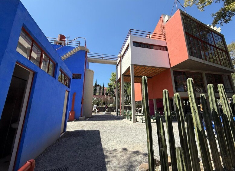 A courtyard with a blue building, a white building, and a red building, surrounded by cacti. 2