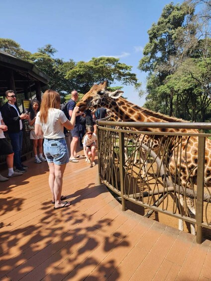 Eine Giraffe frisst in einem Zoo, während Besucher zusehen. 3