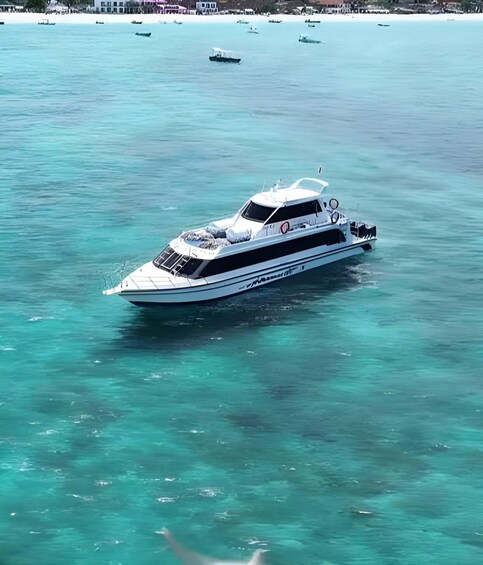 Picture 5 for Activity Bali & Lombok: Gili Islands and Nusa Penida Fast Boat Ticket 5