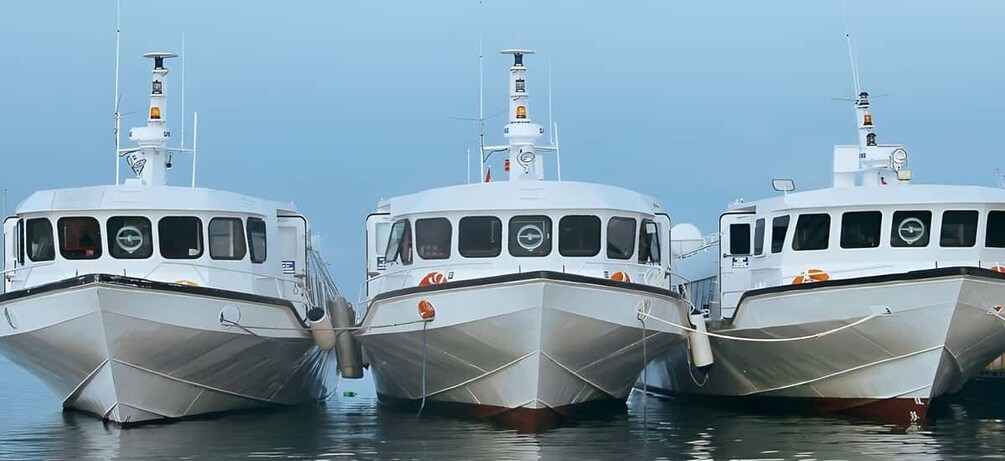 Picture 1 for Activity Bali & Lombok: Gili Islands and Nusa Penida Fast Boat Ticket 2