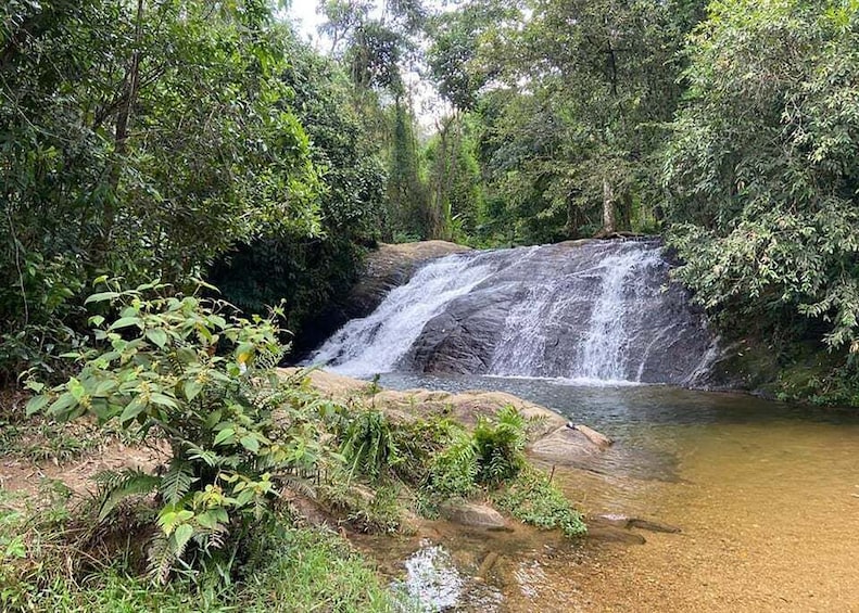 A waterfall in a forested area with clear water and surrounding greenery. 4