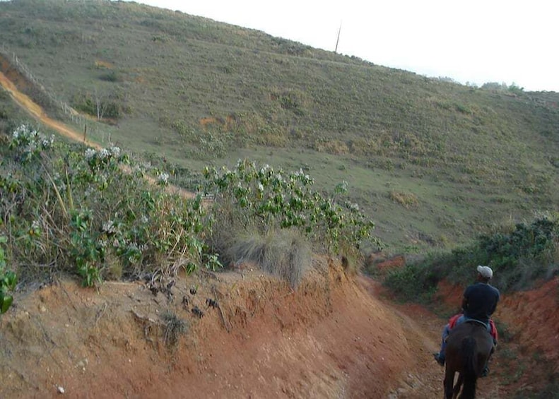 A hilly landscape with a dirt path. 3