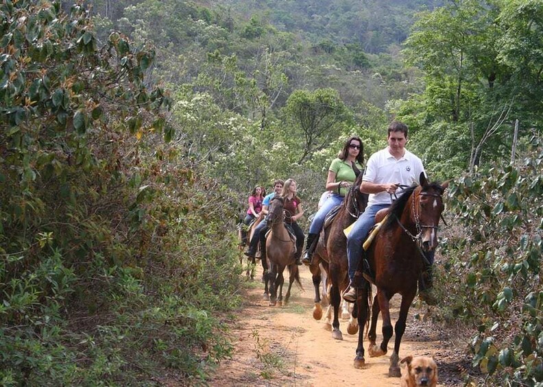 People riding horses on a dirt path surrounded by dense greenery. 2