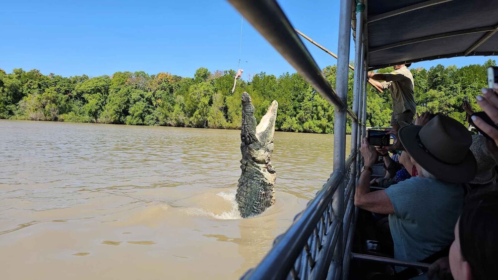 Picture 19 for Activity Darwin: Jumping Crocodile Cruise and Barramundi Fishing Tour 3