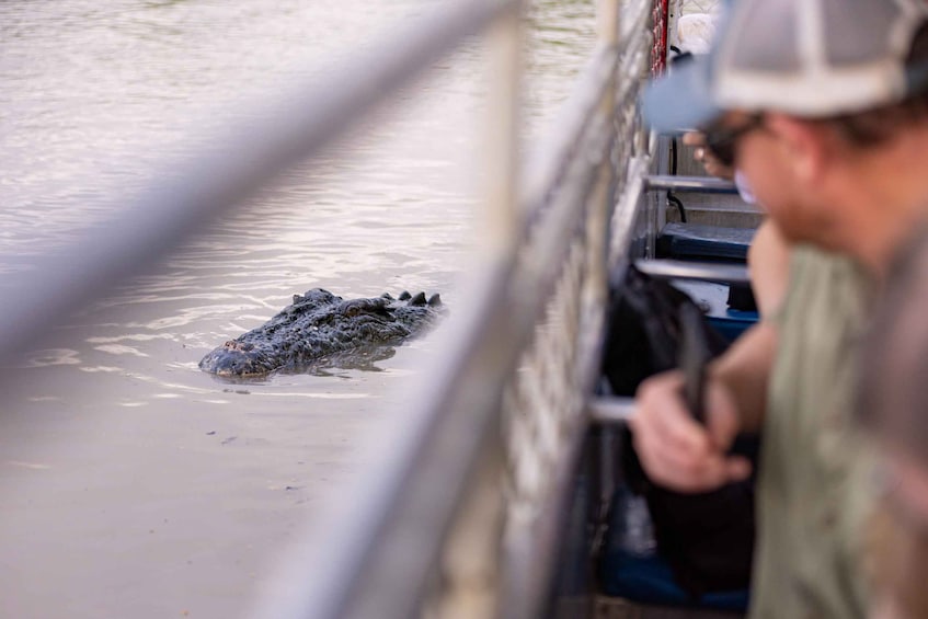 Picture 16 for Activity Darwin: Jumping Crocodile Cruise and Barramundi Fishing Tour 3