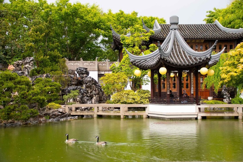 A traditional pavilion by a pond with ducks swimming. 1