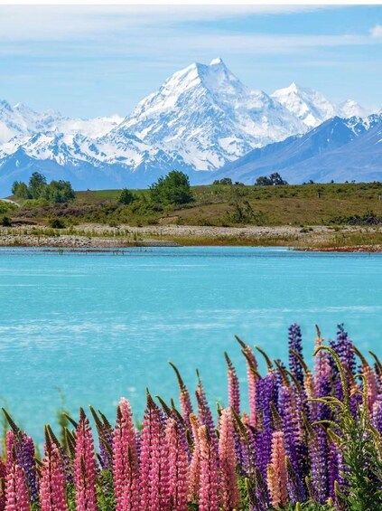 A lake with mountains in the background and purple flowers in the foreground. 2