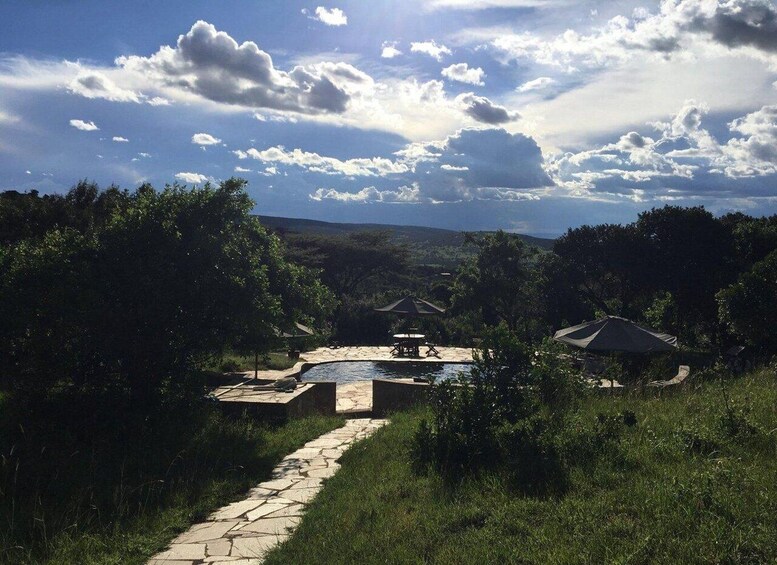 A stone pathway leading to a swimming pool surrounded by trees and a clear sky. 3