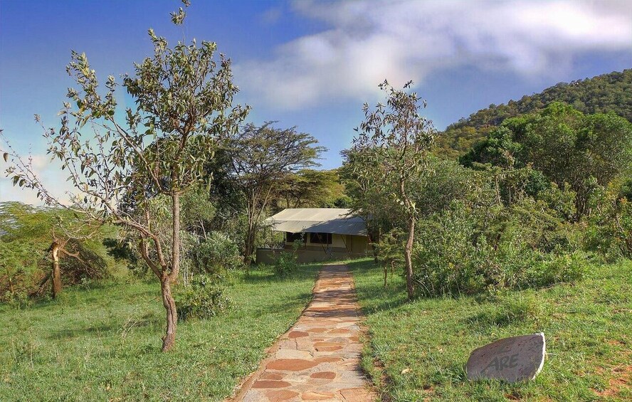 A stone pathway leading to a house surrounded by trees and greenery. 5