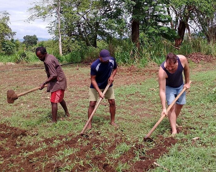 Three people working in a field with shovels. 5