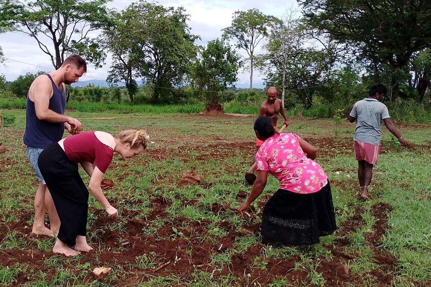 People planting in a field with trees and a cloudy sky. 1