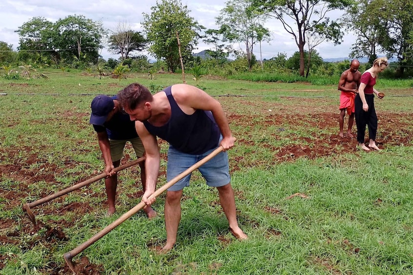 Two people using a hoe to till soil in a field with trees and a cloudy sky in the background. 3