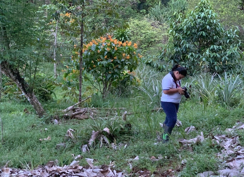 A person in a natural setting with dense foliage and a tree with orange flowers. 2