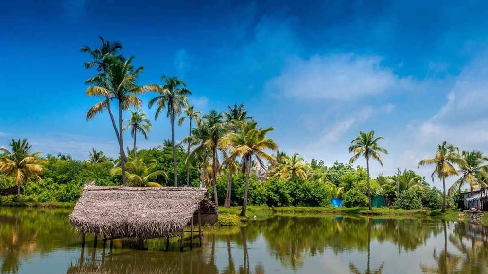 Cochin: 5-Day Kerala Tour to Munnar, Thekkady & Alleppey 1