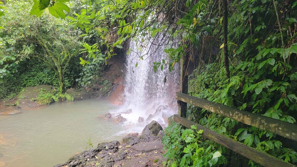 A waterfall cascading into a river, surrounded by dense greenery and a wooden fence. 3