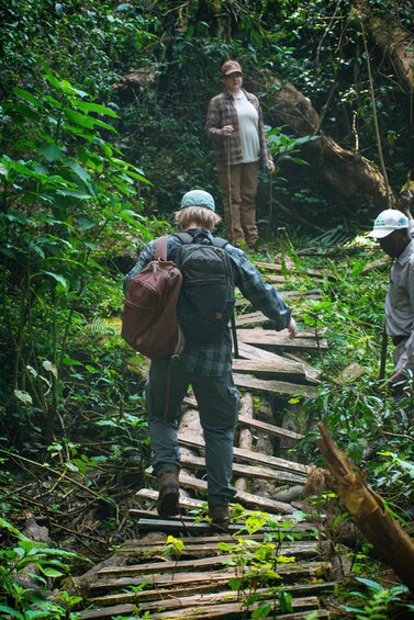 A person walking on a wooden bridge in a forested area. 1
