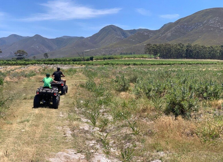 Two people on ATVs in a field with mountains in the background. 2