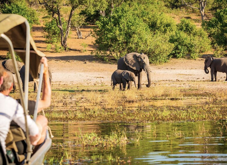 A safari vehicle observing elephants by a water body. 5