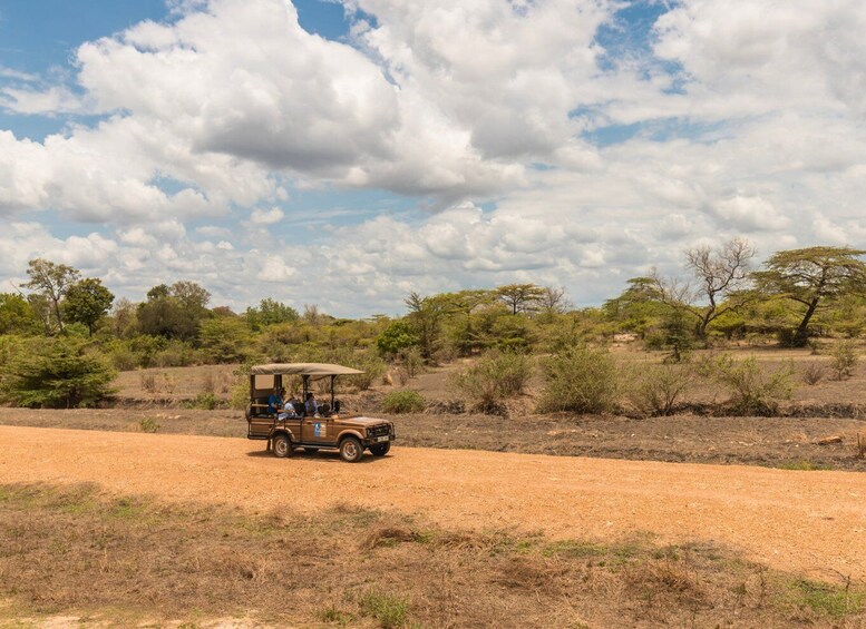 A safari vehicle on a dirt road with sparse vegetation and trees in the background. 2