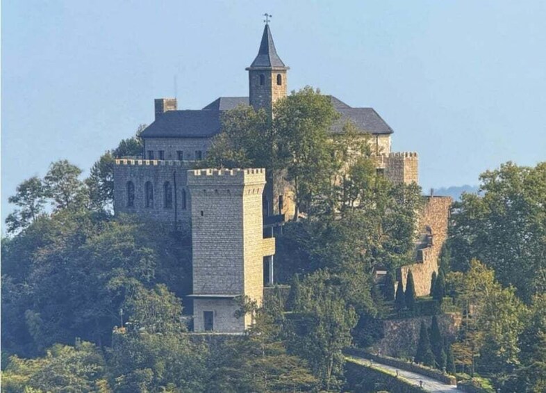 A castle with a tower, surrounded by trees and a pathway. 1