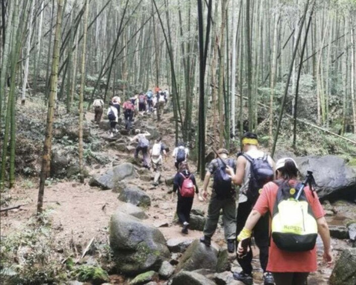 A group of hikers on a rocky forest trail. 5