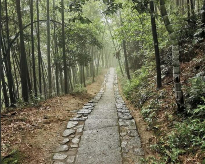 Picture 9 for Activity Shanghai: Moganshan Bamboo Hike with 1920s Villas 2
