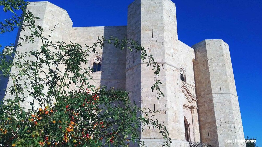A historic stone building with arched windows and a large tree with red fruits in the foreground. 2