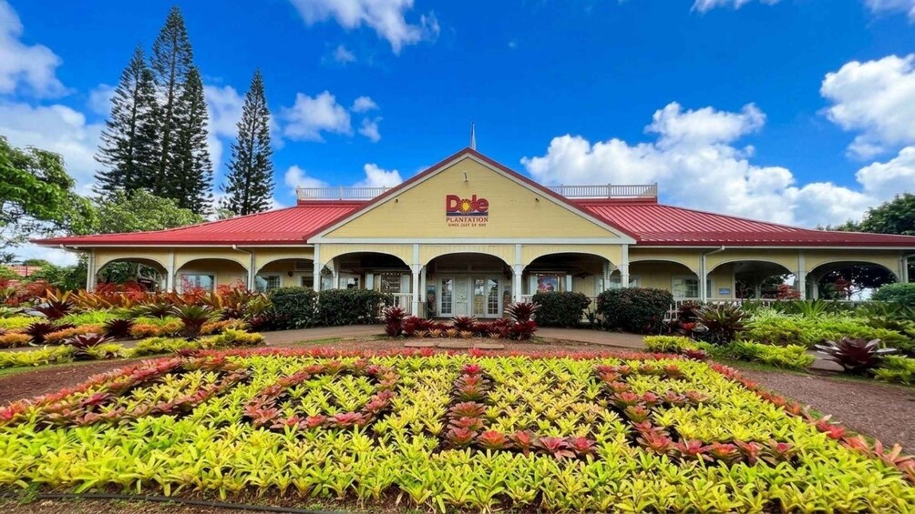 Picture 9 for Activity Oahu Farm-to-Flavor: Dole Plantation & Ko Hana Rum Tasting 3