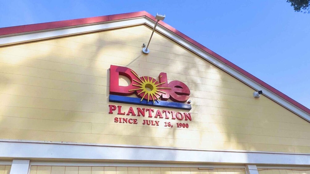 Picture 16 for Activity Oahu Farm-to-Flavor: Dole Plantation & Ko Hana Rum Tasting 2