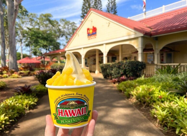Oahu Farm-to-Flavor: Dole Plantation & Ko Hana Rum Tasting 1