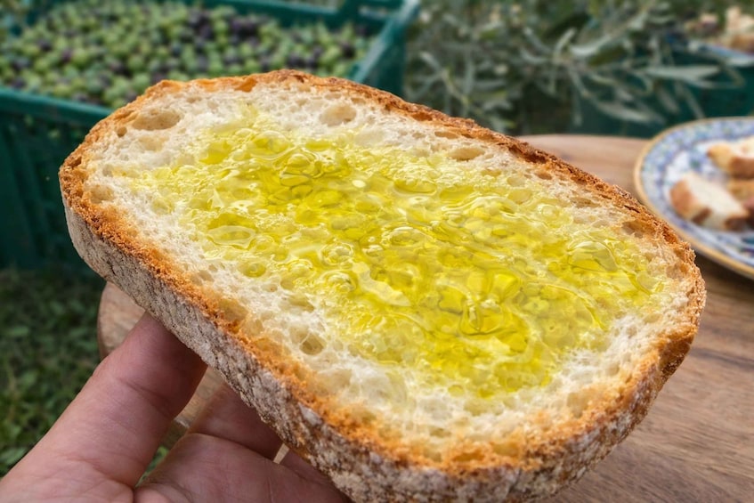 A slice of bread with olive oil spread on it. 1