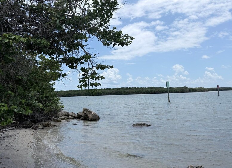 A calm lake with a clear sky, surrounded by dense foliage and a distant shoreline. 2