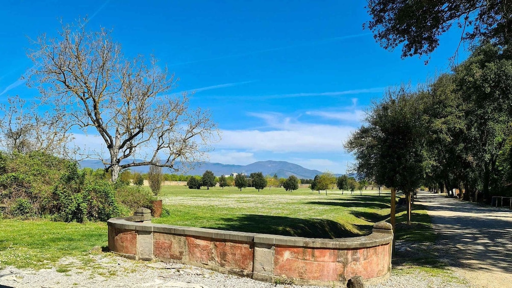 A rural landscape with a clear sky, a stone wall, and a road lined with trees. 1