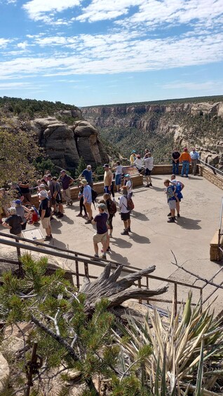 A group of people gathered at a viewpoint overlooking a canyon with rocky cliffs and sparse vegetation. 4