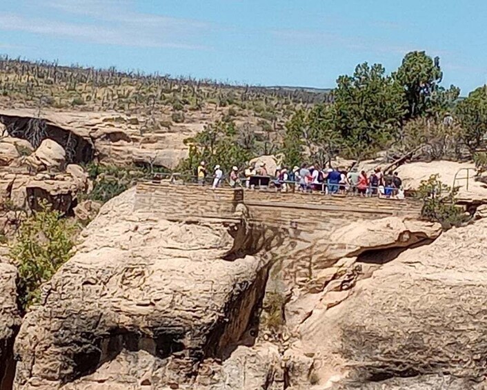 A group of people standing on a rocky outcrop with a canyon in the background. 5