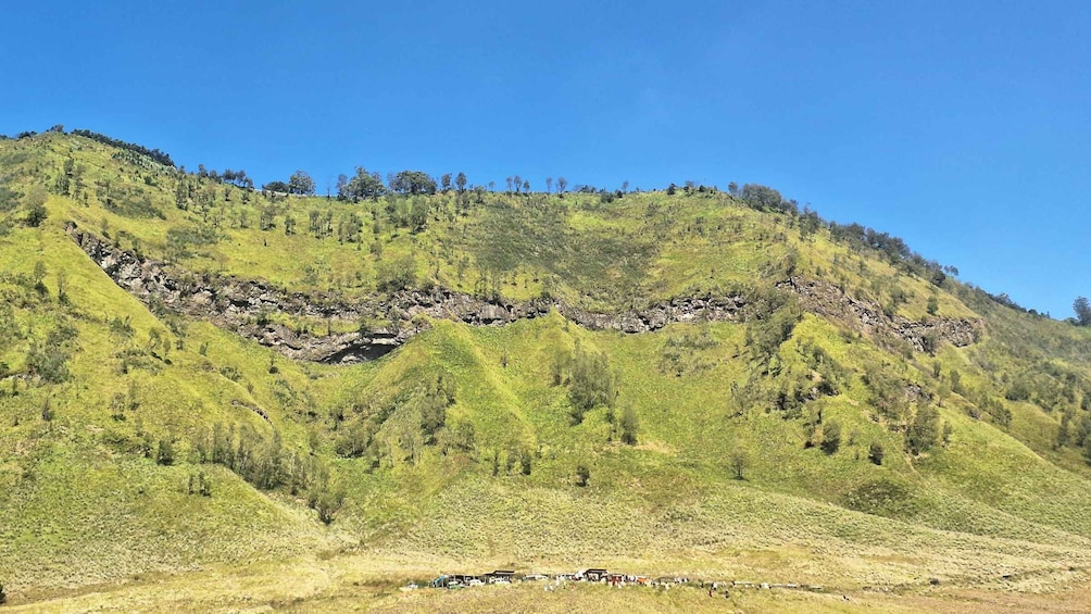 A green hillside with a rocky outcrop and sparse trees. 3