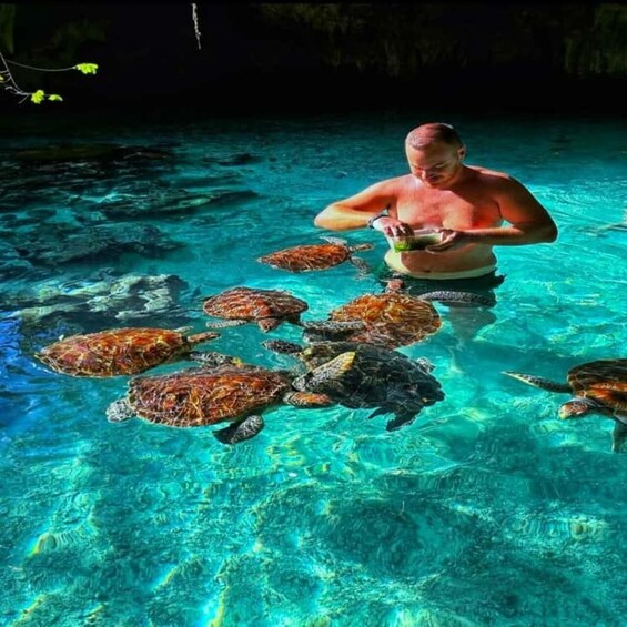 Zanzibar:⭐ The visit of South of Zanzibar full-day Tour 1