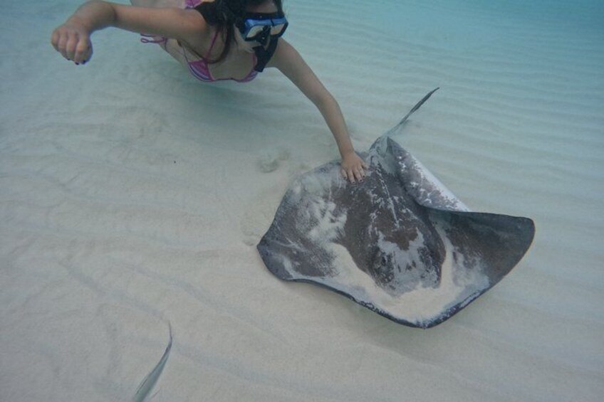 Une personne sous l’eau, avec une raie manta sur le sable. 4