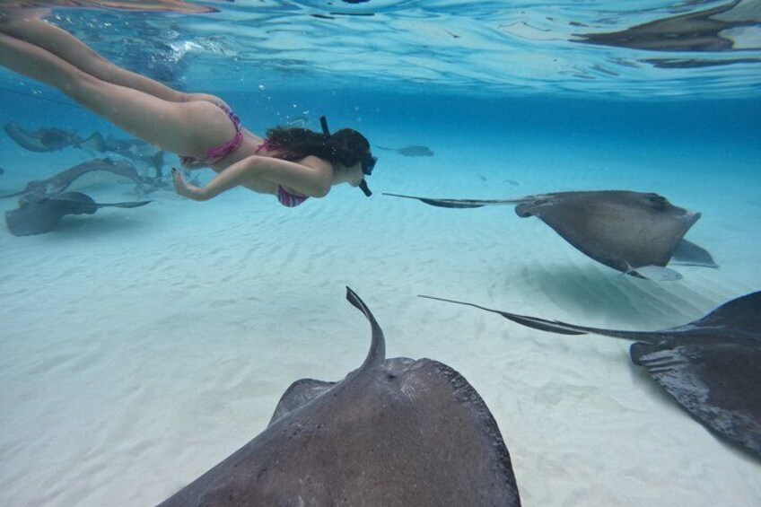 Une personne nageant sous l'eau avec des raies. 3