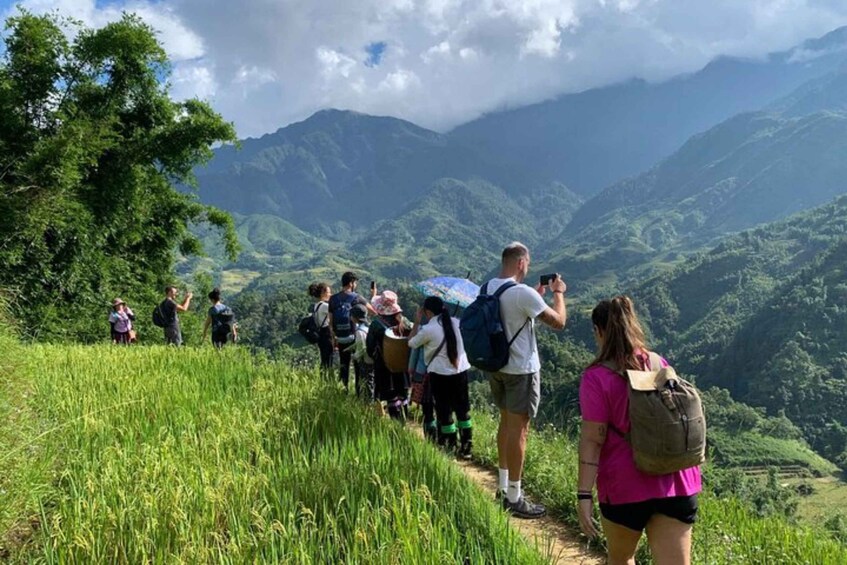 A group of hikers on a trail with lush greenery and mountains in the background. 2