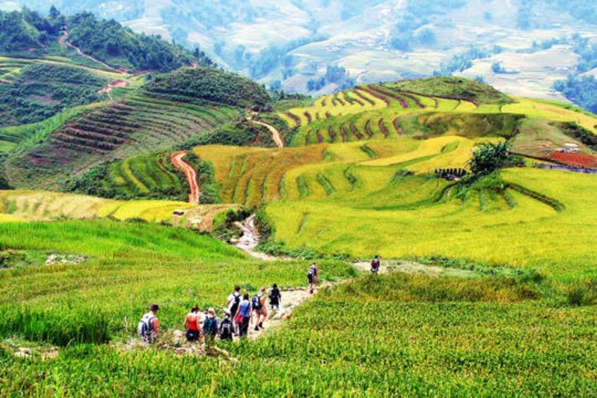Terraced rice fields with a winding path and a group of people walking. 4