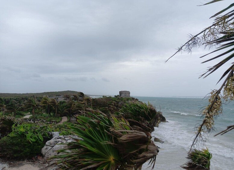 A coastal landscape with palm trees, a rocky outcrop, and a distant stone structure. 4