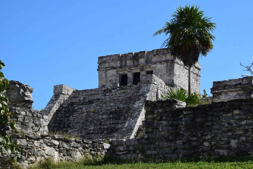 Ancient stone ruins with a palm tree. 5
